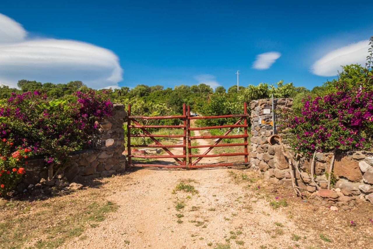 Sa Tanca 'E Pedduzza Villa Orosei Ngoại thất bức ảnh