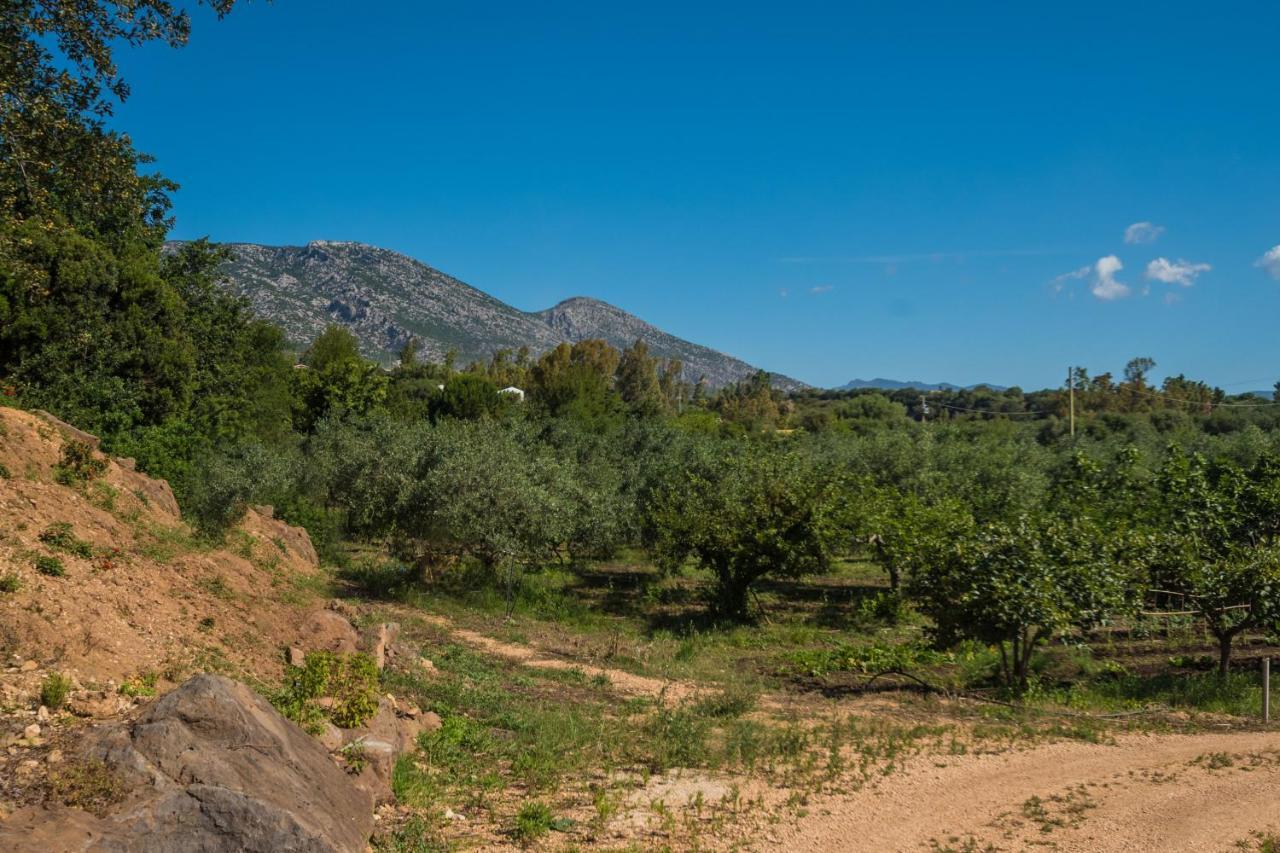 Sa Tanca 'E Pedduzza Villa Orosei Ngoại thất bức ảnh